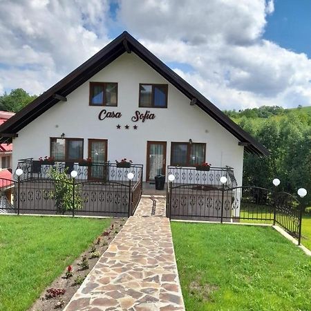 Casa Sofia Daire Baltatesti Dış mekan fotoğraf