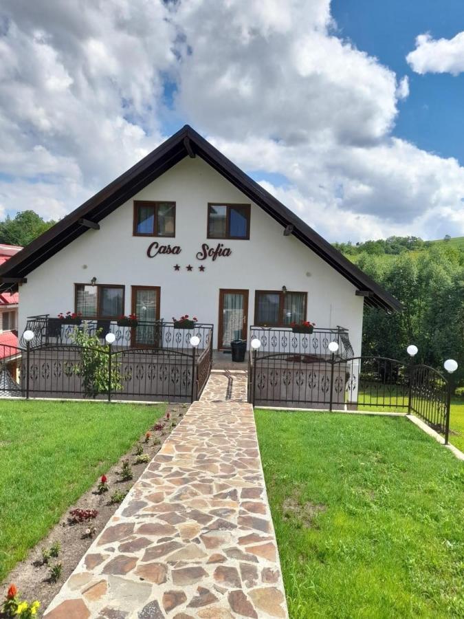 Casa Sofia Daire Baltatesti Dış mekan fotoğraf